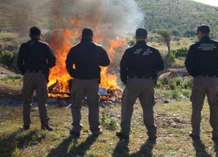 Incineración de Drogas y Objetos del Delito