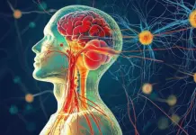 El cortisol y su impacto en la salud de la piel El cortisol y su impacto en la salud de la piel