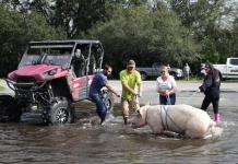 Rescate y Daños tras el Huracán Milton