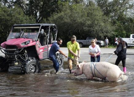 Rescate y Daños tras el Huracán Milton