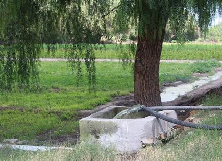 Crean la Contraloría Autónoma del Agua