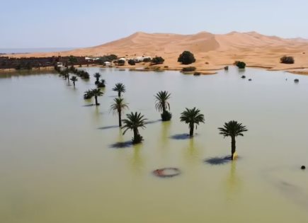 El Desierto del Sahara se Inunda por Primera Vez en 50 Años