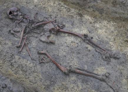 Descubrimiento de esqueletos vikingos en Aasum, Dinamarca