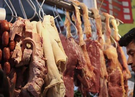 Denuncian un ingreso ilegal de carne