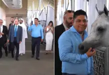 Viajes del gobernador se centran en la promoción del estado: Sedeco (video) Viajes del gobernador se centran en la promoción del estado: Sedeco (video)