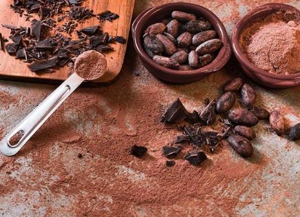 Beneficios del cacao y su impacto en la relajación