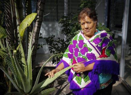 Indígenas mexicanas denuncian obstáculos para reconocer medicina tradicional