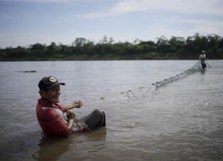 Impacto de la sequía en el Río Amazonas