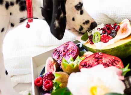 Frutas para perros: Mejora la dieta de tu mascota