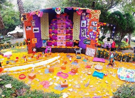 Mascotas tienen su altar de muertos