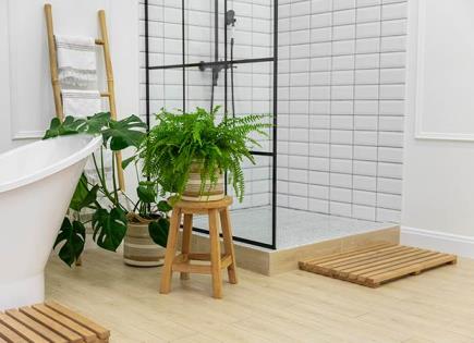 Planta para Baño: Controla la Humedad de Forma Natural