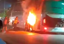 Se incendia autobús de turismo en Tamazunchale; no se reportan heridos Se incendia autobús de turismo en Tamazunchale; no se reportan heridos