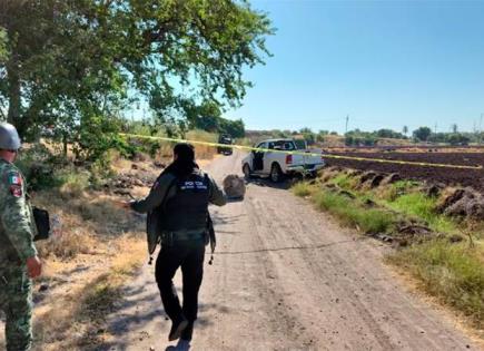 Violencia en Sinaloa: Detalles del fin de semana sangriento