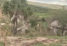Por pleito agrario, balean a dos hombres y queman sus casas en Valles