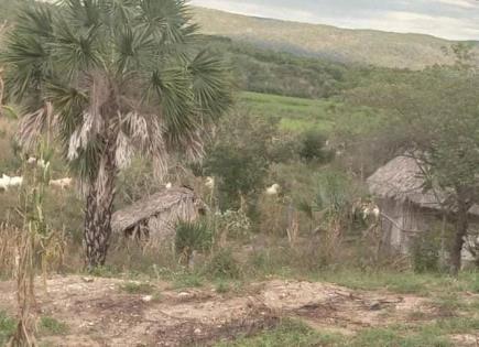 Por pleito agrario, balean a dos hombres y queman sus casas en Valles