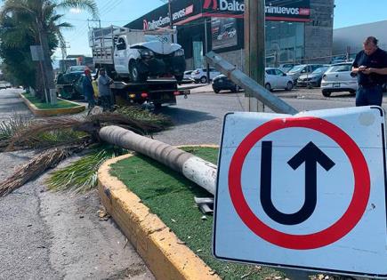 Camioneta choca contra palmera y la derriba