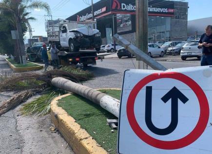 Estrella camioneta en palmera de avenida Topacio