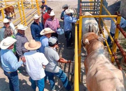 Arranca campaña de vacunación de ganado