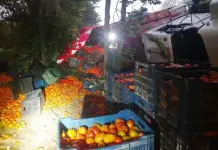 Cami&oacute;n tomatero vuelca en libramiento Valles-Tamu&iacute;n