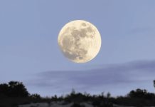 Prepárate para la Luna del Castor el 15 de noviembre en México