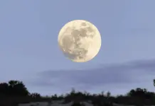 Prepárate para la Luna del Castor el 15 de noviembre en México