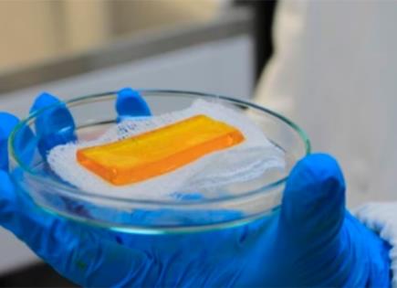 Parche antiheridas infectadas, en proceso; IPN crea dispositivo Parche antiheridas infectadas, en proceso; IPN crea dispositivo