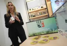 Medidas sometidas a votación en Florida legalizarían la marihuana y protegerían derecho al aborto Medidas sometidas a votación en Florida legalizarían la marihuana y protegerían derecho al aborto