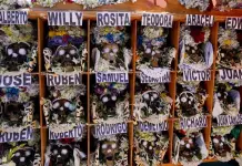 Culto a los Ñatitas en Bolivia: Una tradición ancestral Culto a los Ñatitas en Bolivia: Una tradición ancestral