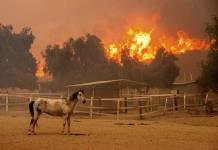 Incendio Forestal en California