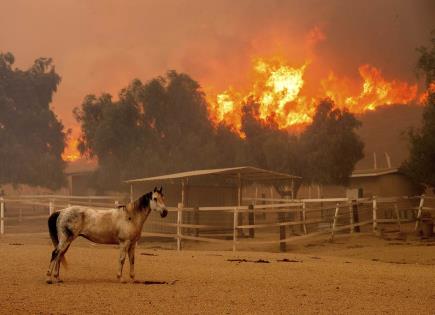 Incendio Forestal en California