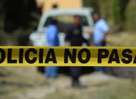 Informe sobre los cuerpos encontrados en Villa de Arista