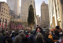 Llegada del Árbol de Navidad Rockefeller Center a Nueva York