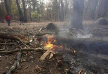 Bomberos combaten incendios en ambas costas de EEUU