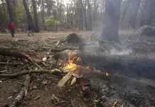 Bomberos combaten incendios en ambas costas de EEUU