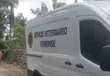 Envenenamiento de mascotas en IXIL: Detalles y acciones