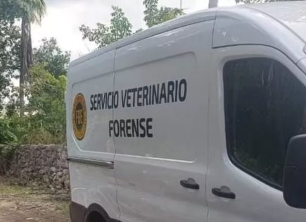 Envenenamiento de mascotas en IXIL: Detalles y acciones