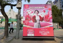 Festival de Compras del D&iacute;a de los Solteros en China