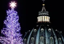 Recogen firmas para evitar talar el árbol de Navidad destinado a la plaza de San Pedro Recogen firmas para evitar talar el árbol de Navidad destinado a la plaza de San Pedro