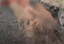 Hallazgo de osamenta de mujer en Reynosa