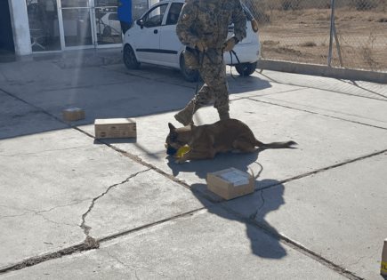 Decomiso de droga en Aeropuerto de La Paz, BCS