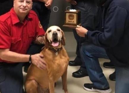 La emotiva despedida de Tit&aacute;n, el perro rescatista