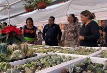 Realizan primera edición de la Expo Cactus y Suculentas