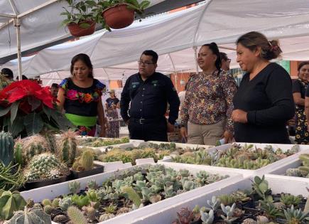 Realizan primera edición de la Expo Cactus y Suculentas