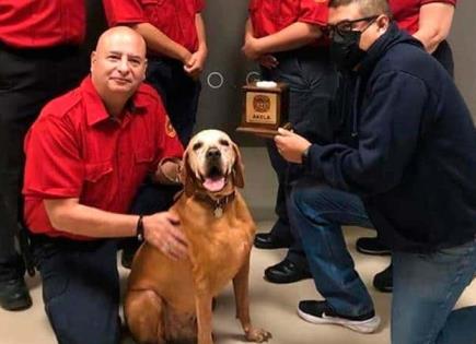 Murió el perro rescatista “Titán”