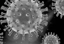 Desarrollo de una herramienta terapéutica innovadora Desarrollo de una herramienta terapéutica innovadora