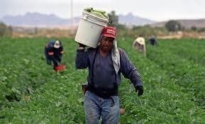 Alerta de la Sader sobre Estafa de Apoyos Agrícolas