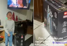 Peque&ntilde;o compra Lego de $9,375 sin permiso