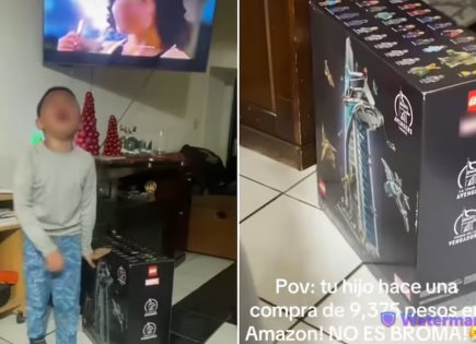 Pequeño compra Lego de $9,375 sin permiso