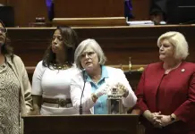 Avances en la Participación Política Femenina