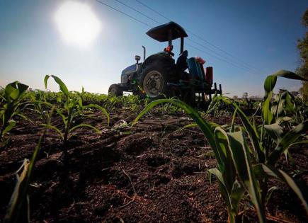 Critican recorte de recursos para campo en 2025